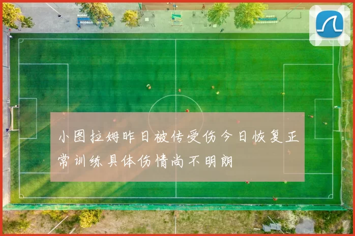 小图拉姆昨日被传受伤今日恢复正常训练具体伤情尚不明朗