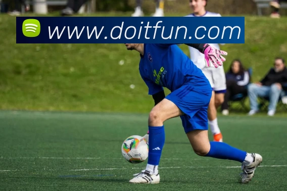 互动解说服务